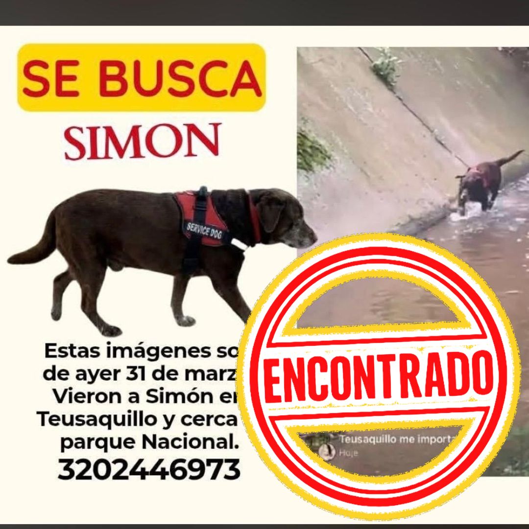 Perro Simón