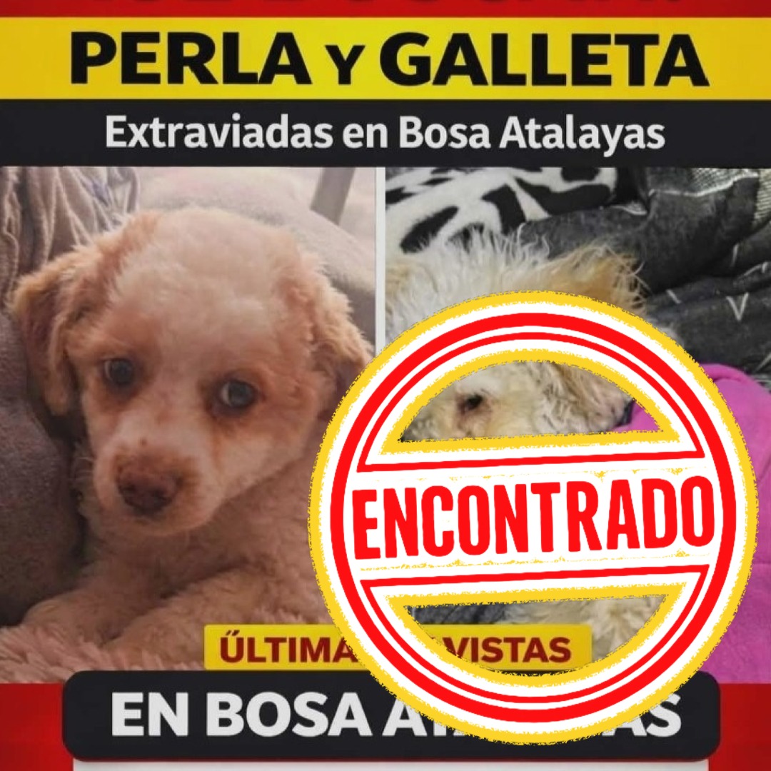 Perla y Galleta