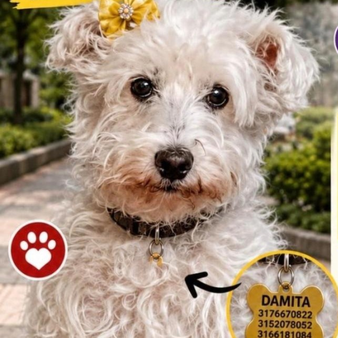 Dinamita