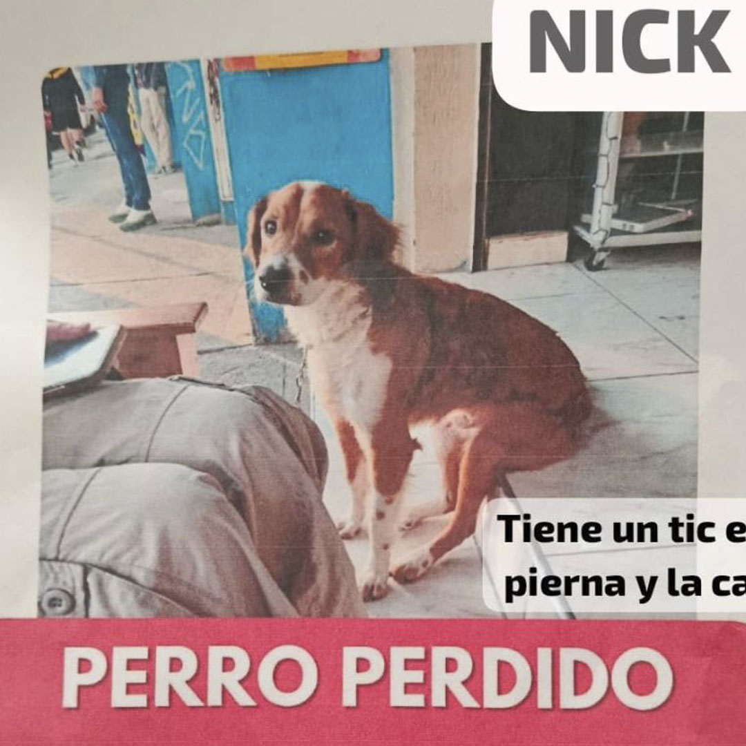 Nick