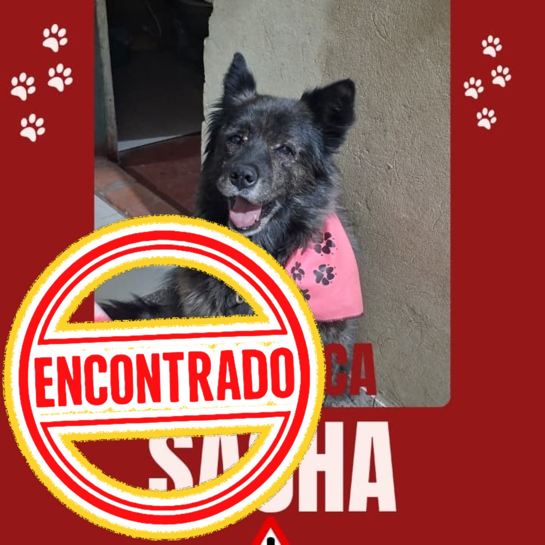 Sacha