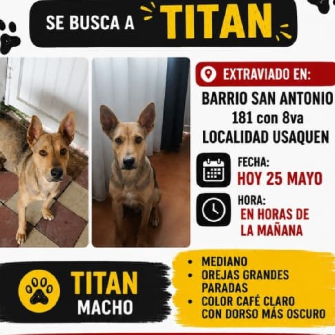 Perro Titán