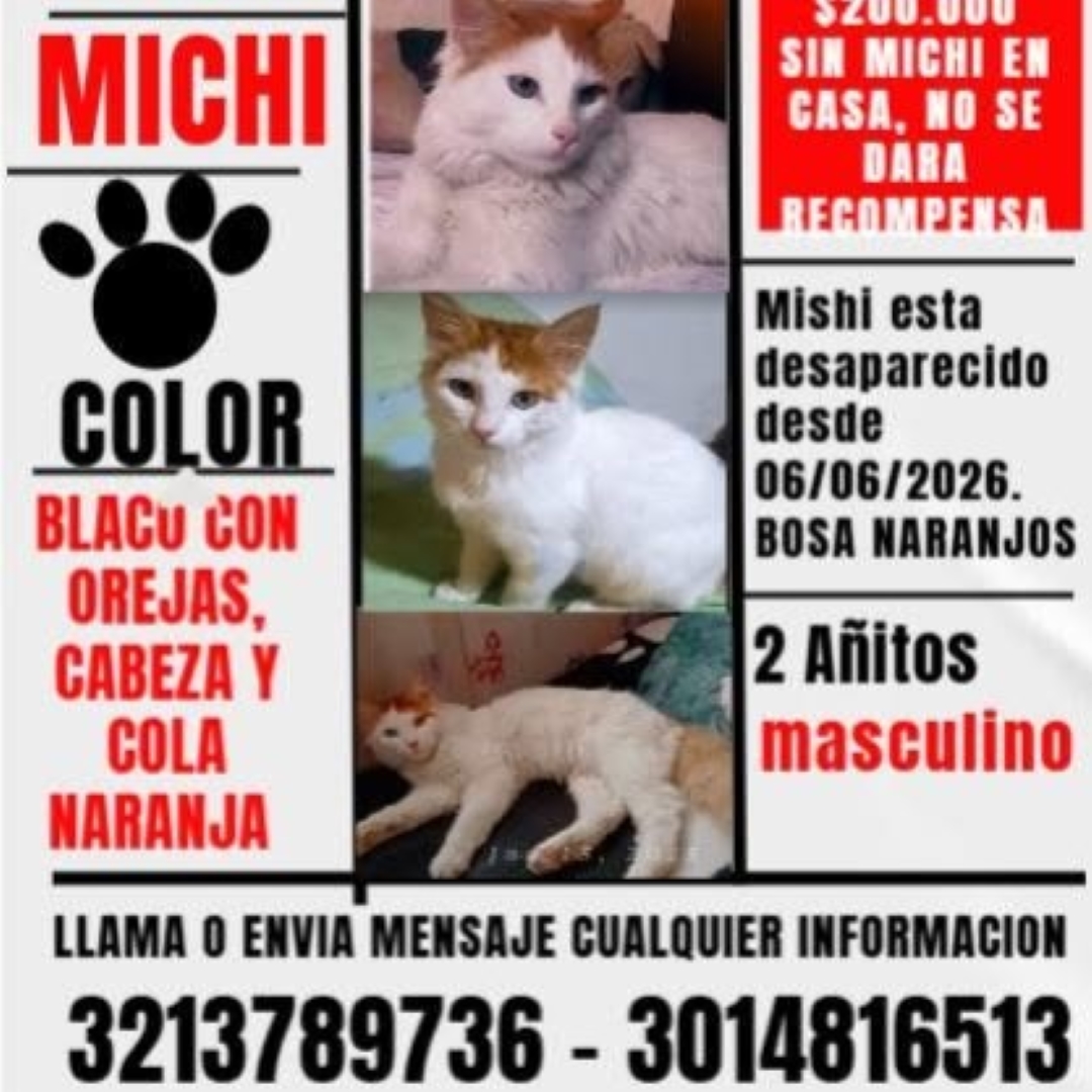 Michi