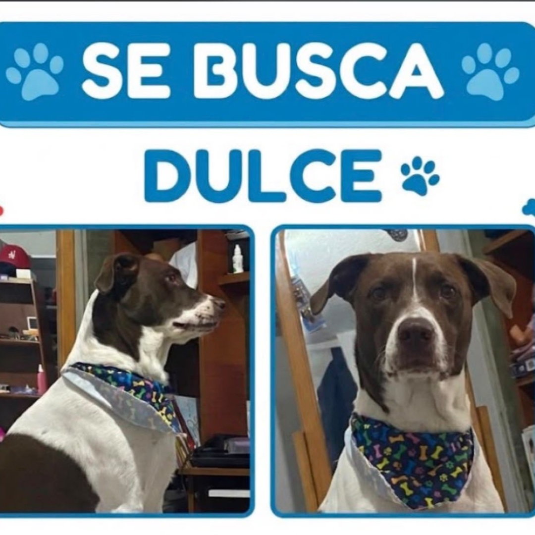 Dulce