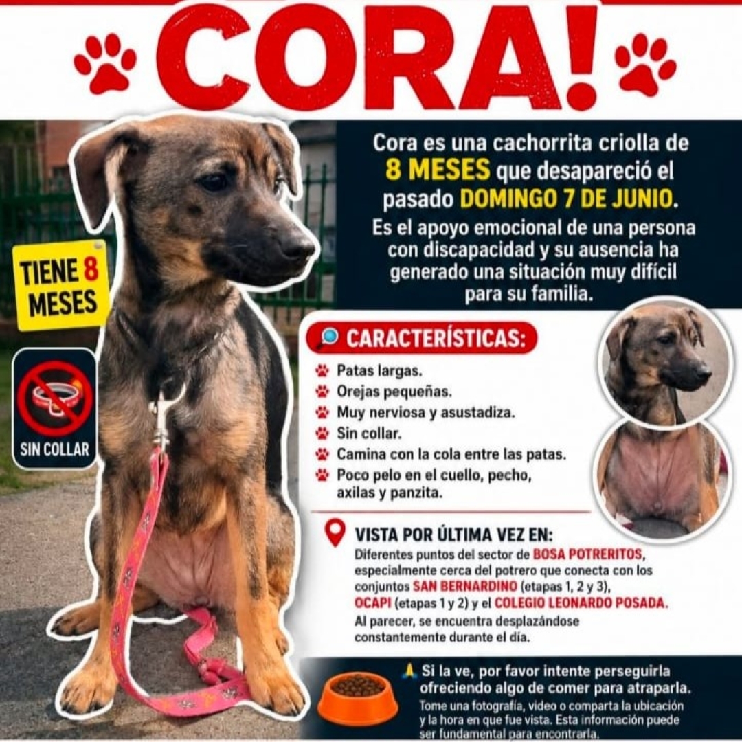 Cora
