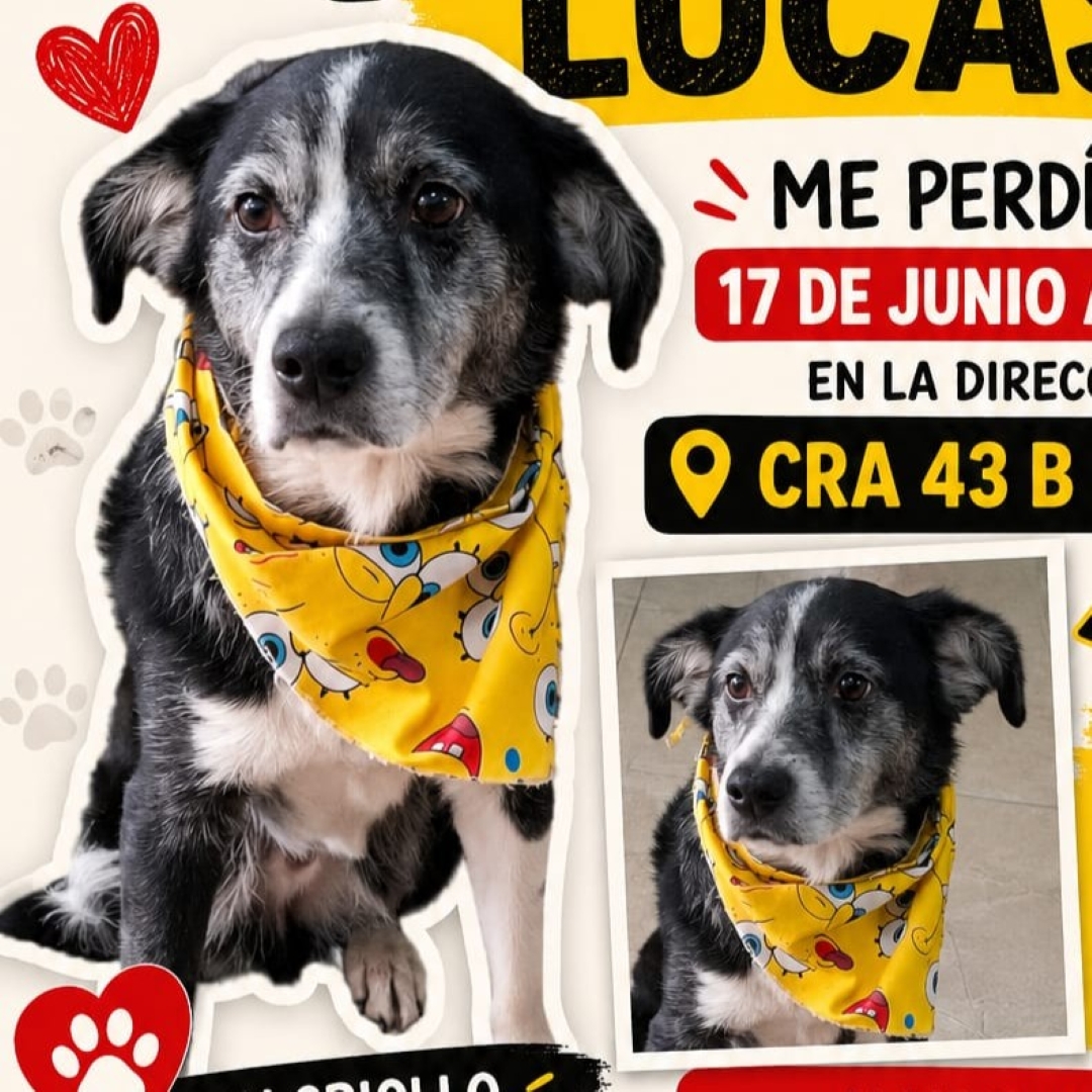 Lucas