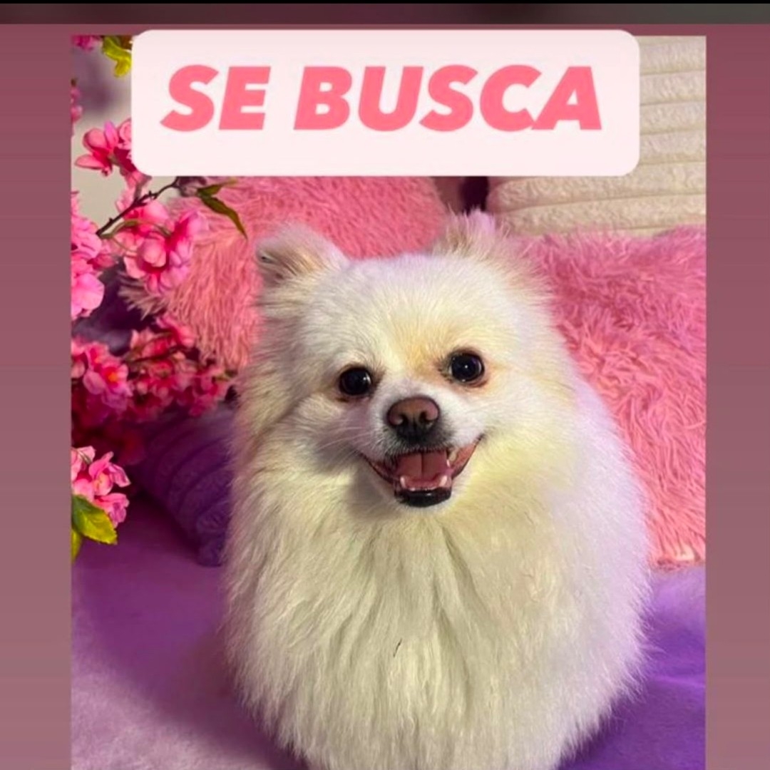 Mía