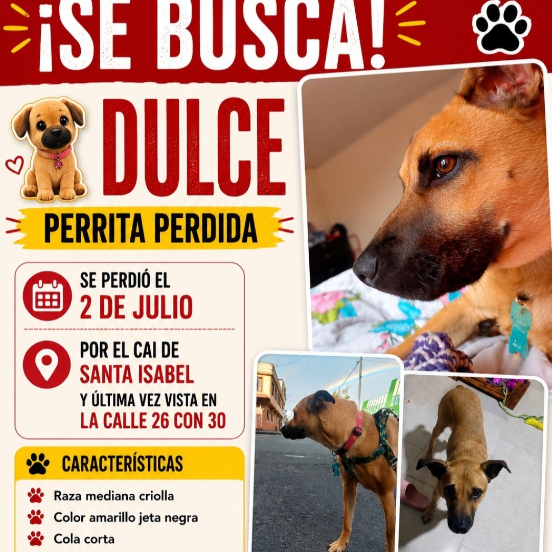 Perro Dulce