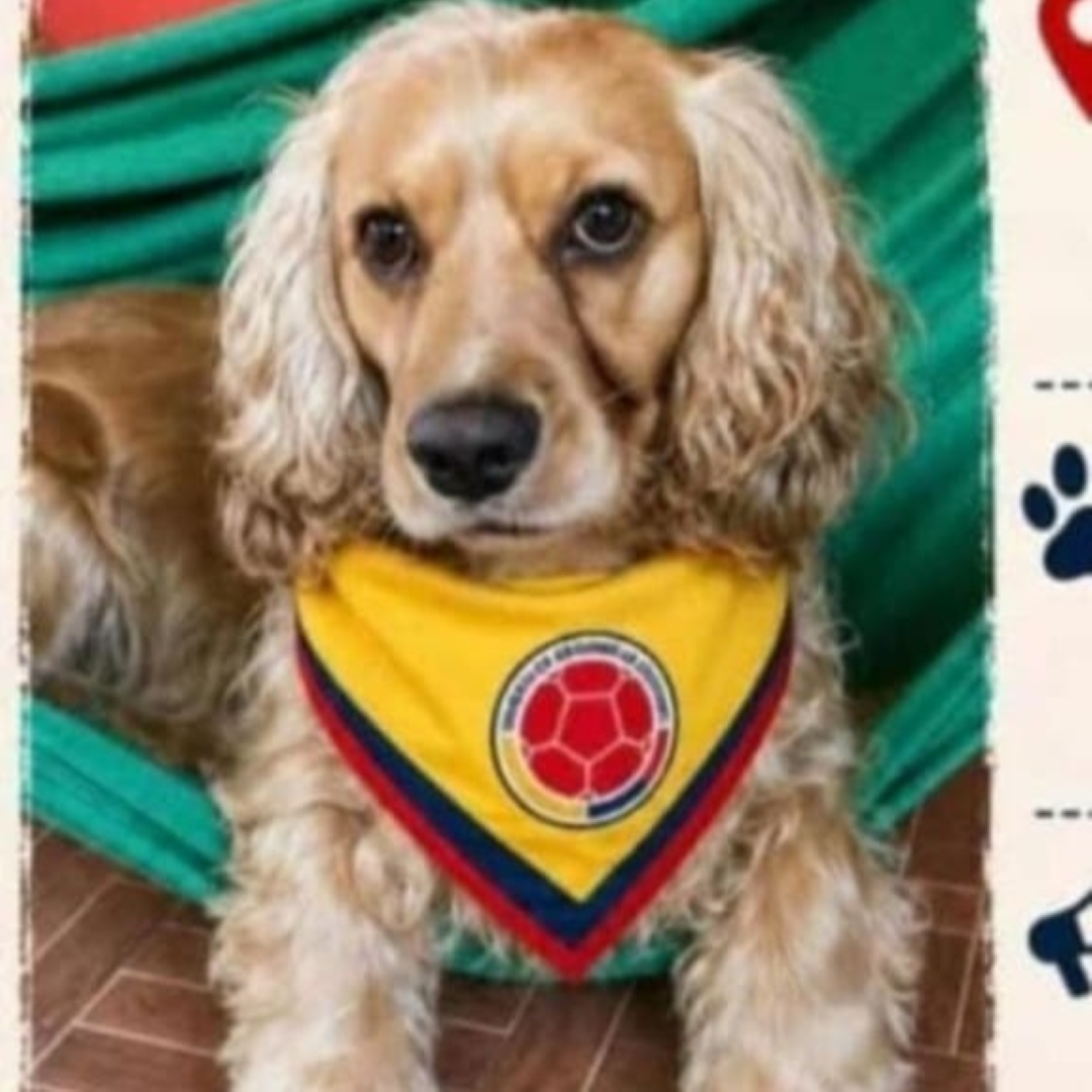 Coco