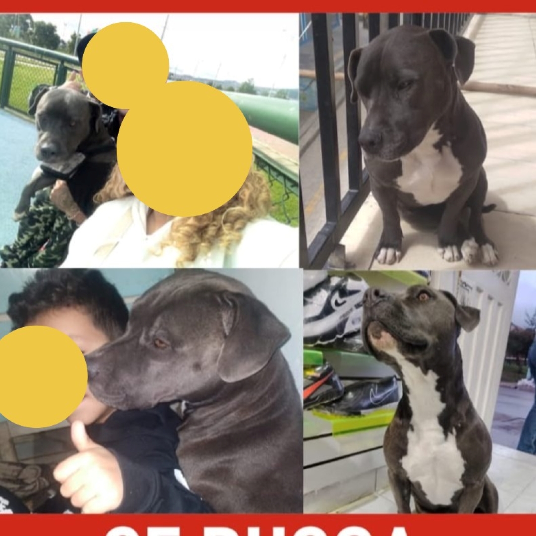 Niña