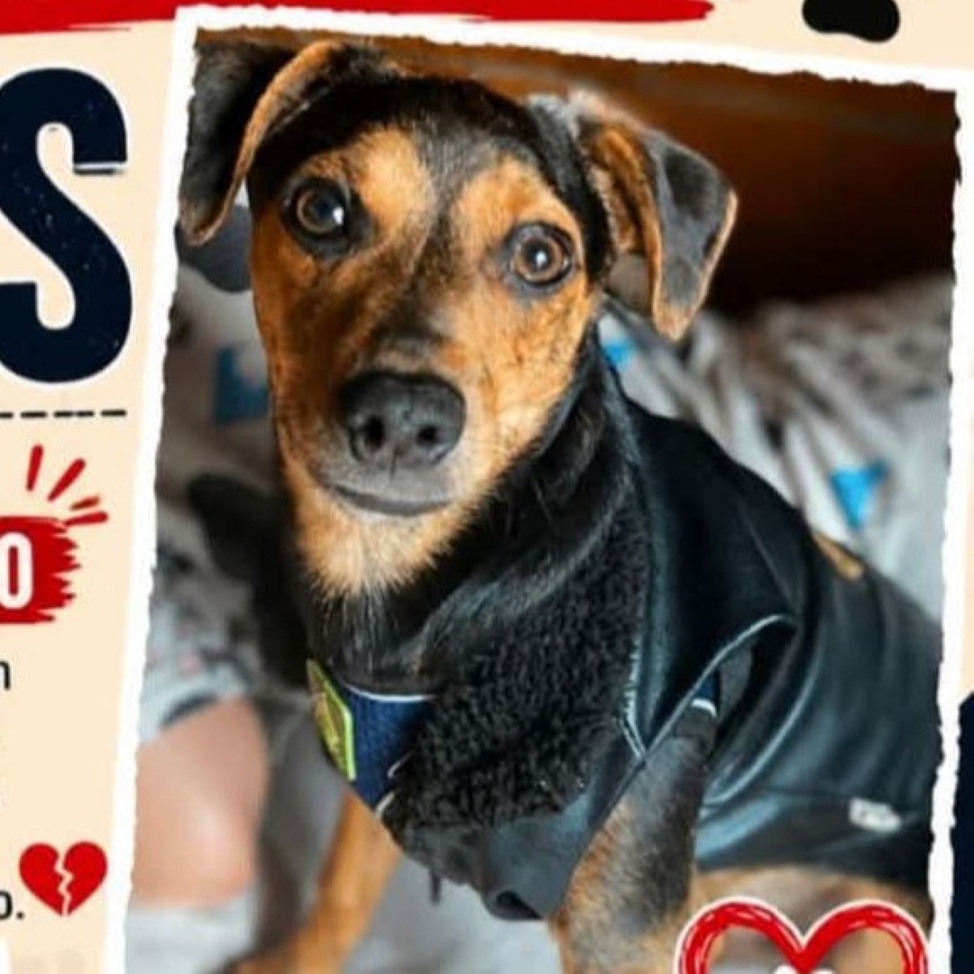 Zeus