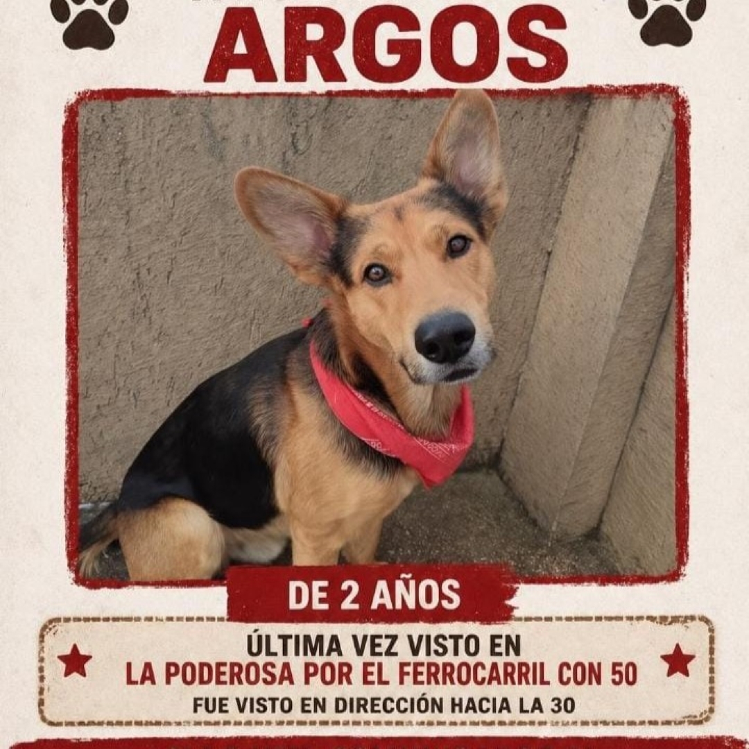 Argos