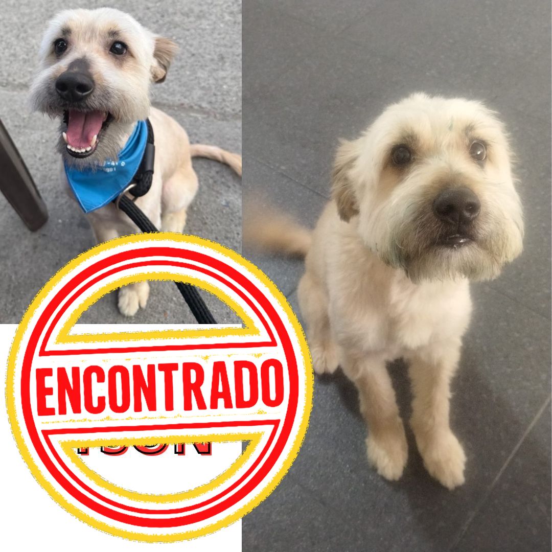 Tayson