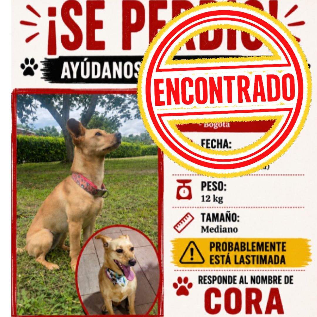 Cora