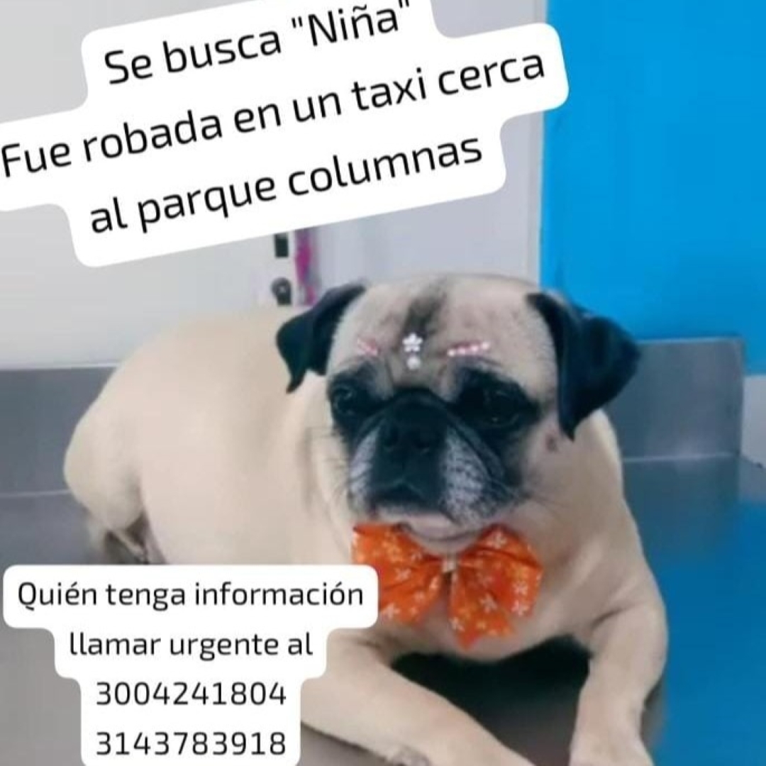 Niña