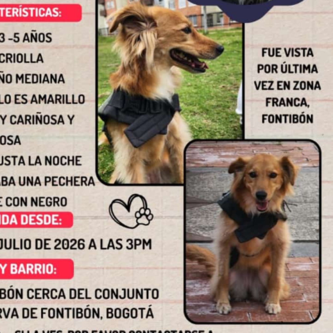 Roxy