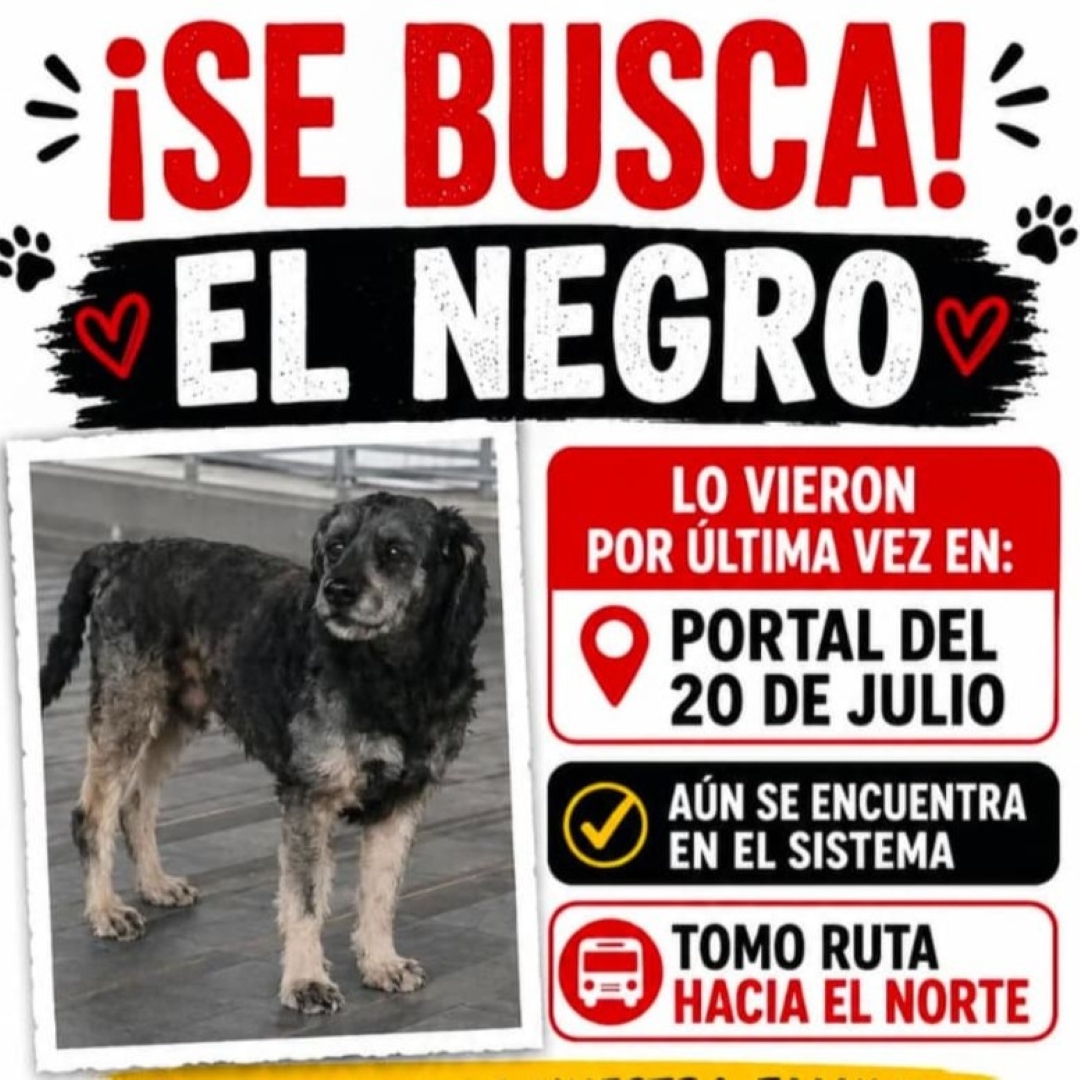 El Negro