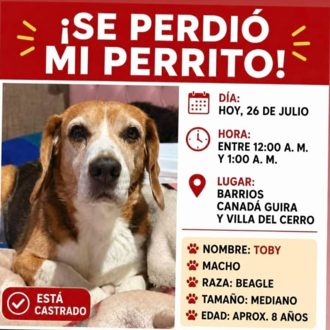 Toby