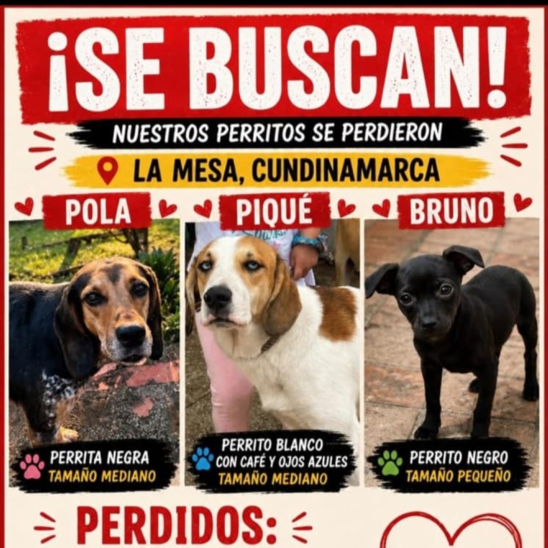 Pola, Piqué y Bruno