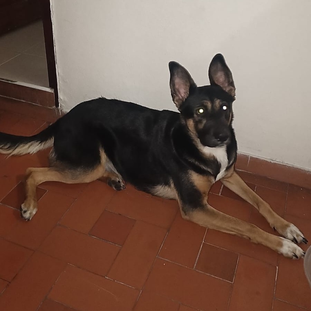 Nakila
