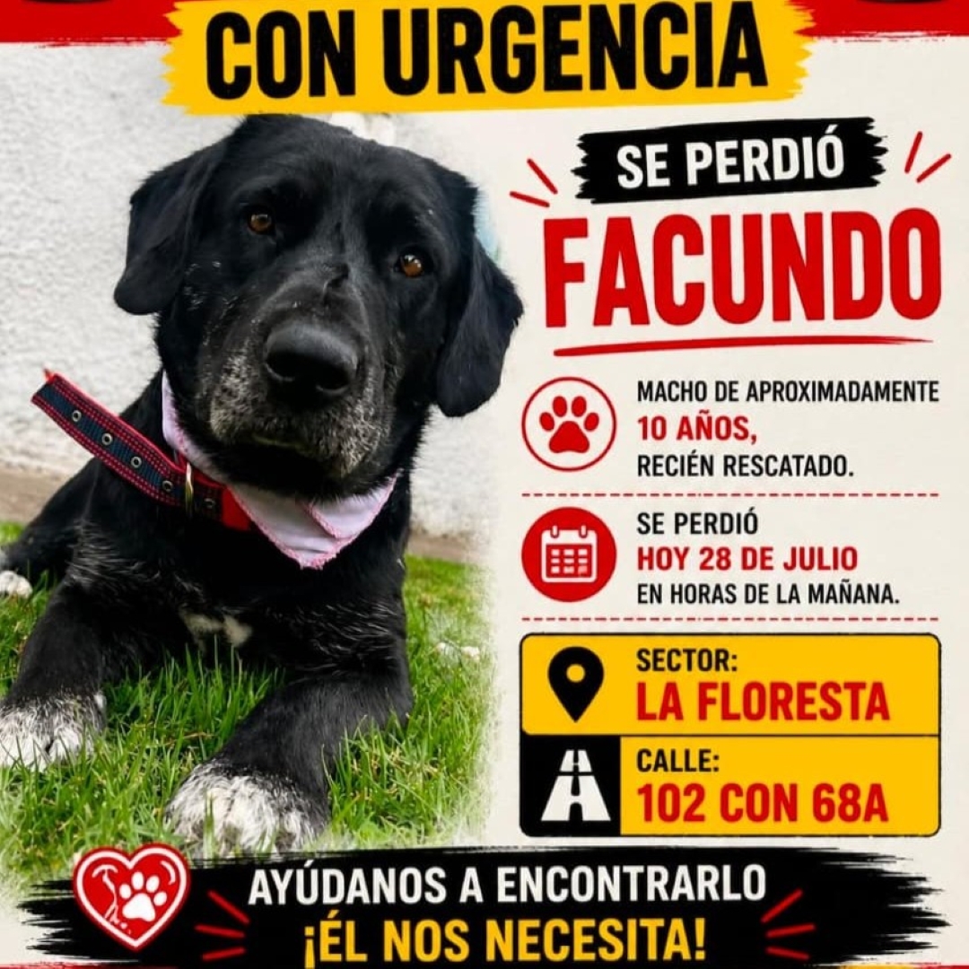 Facundo