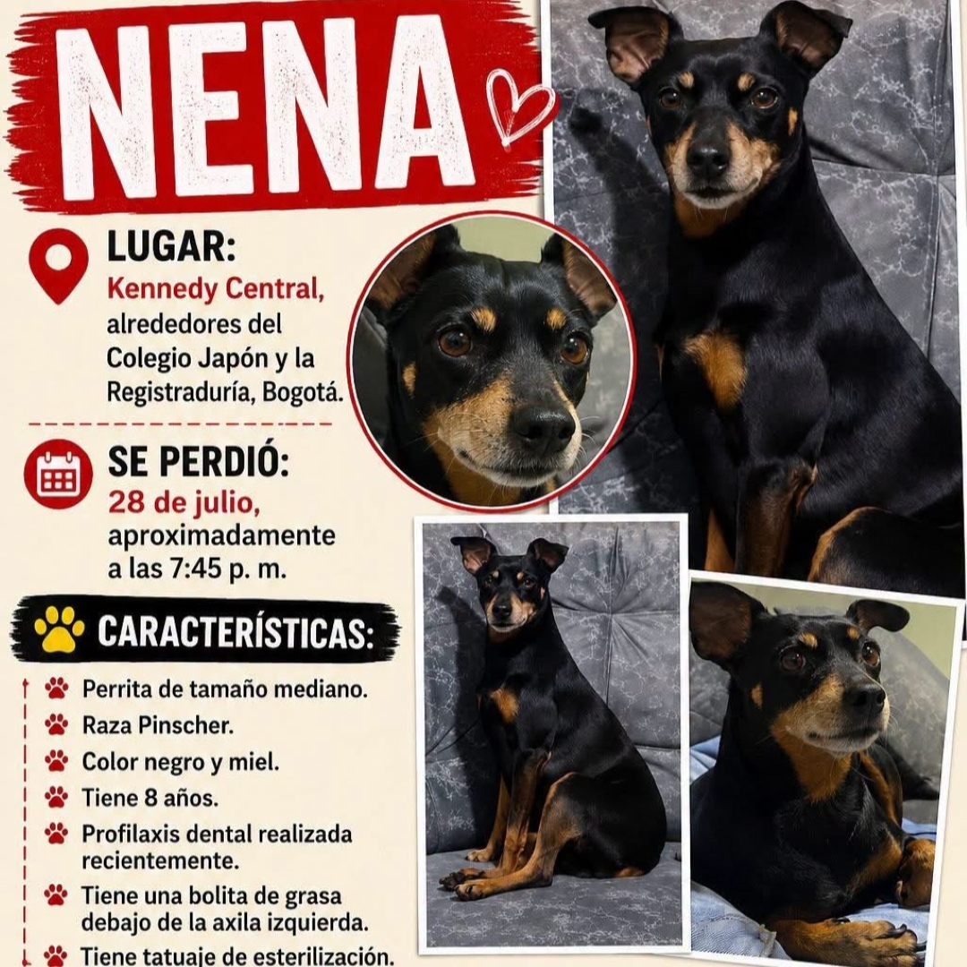 Nena