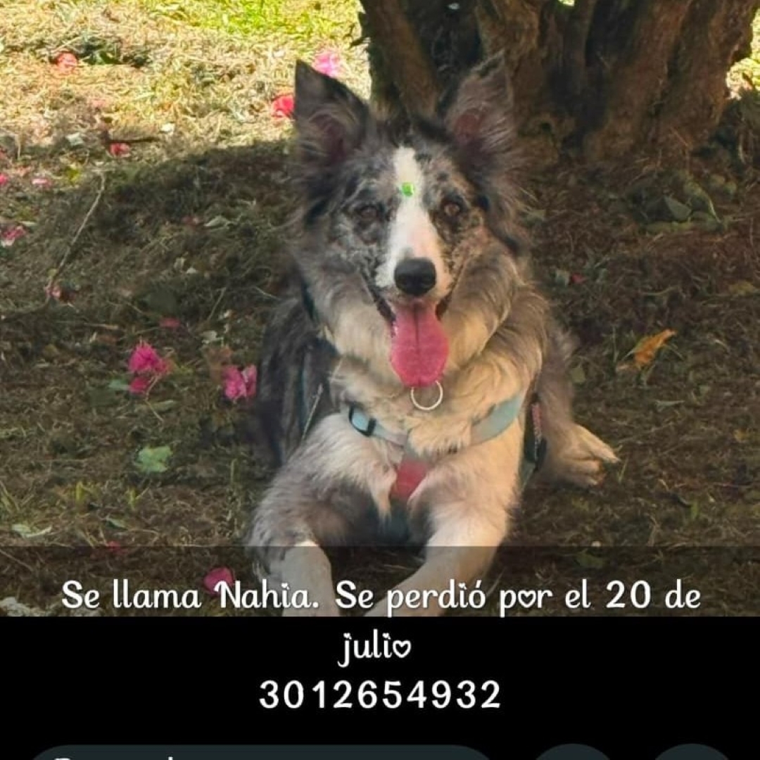 Nahia