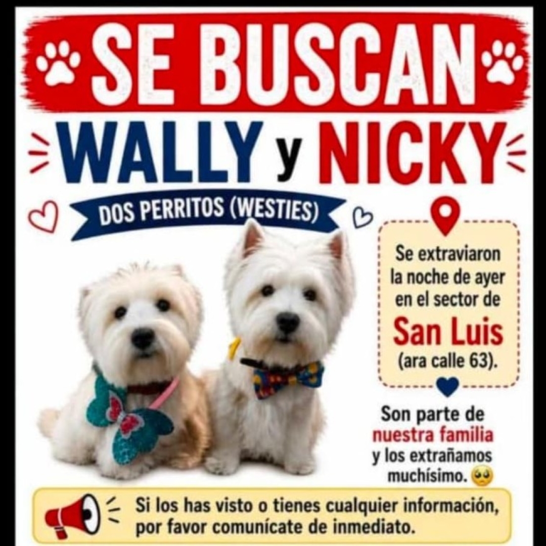 Wally y Nicky