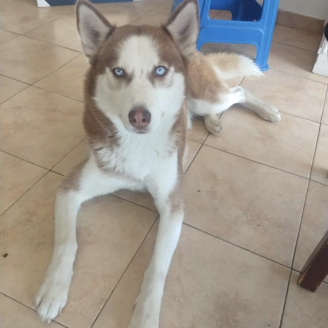 Luna