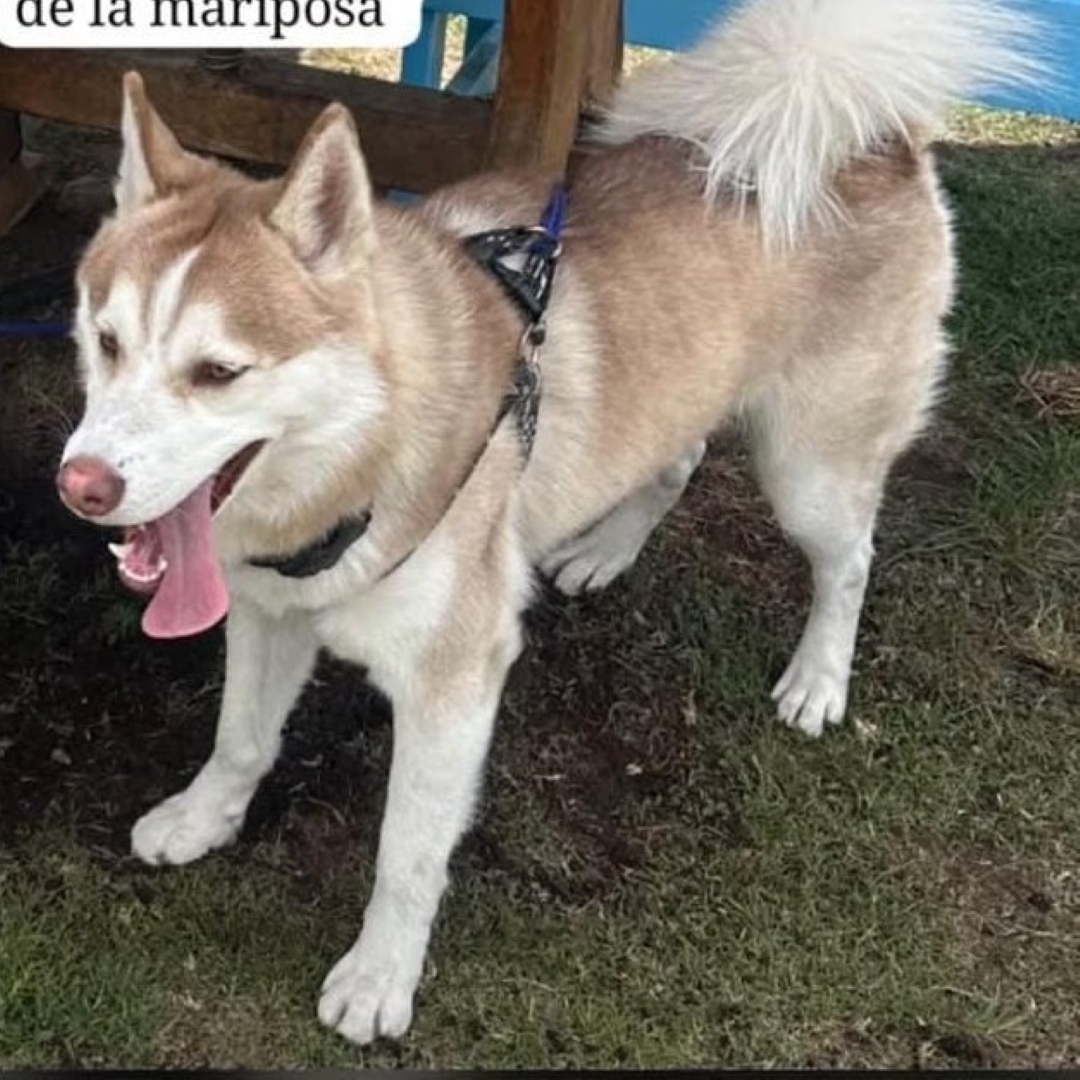Max