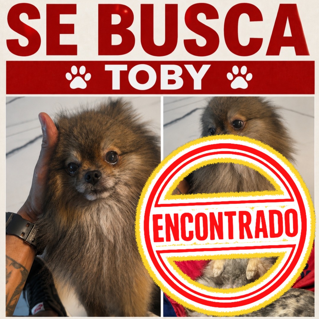 Toby
