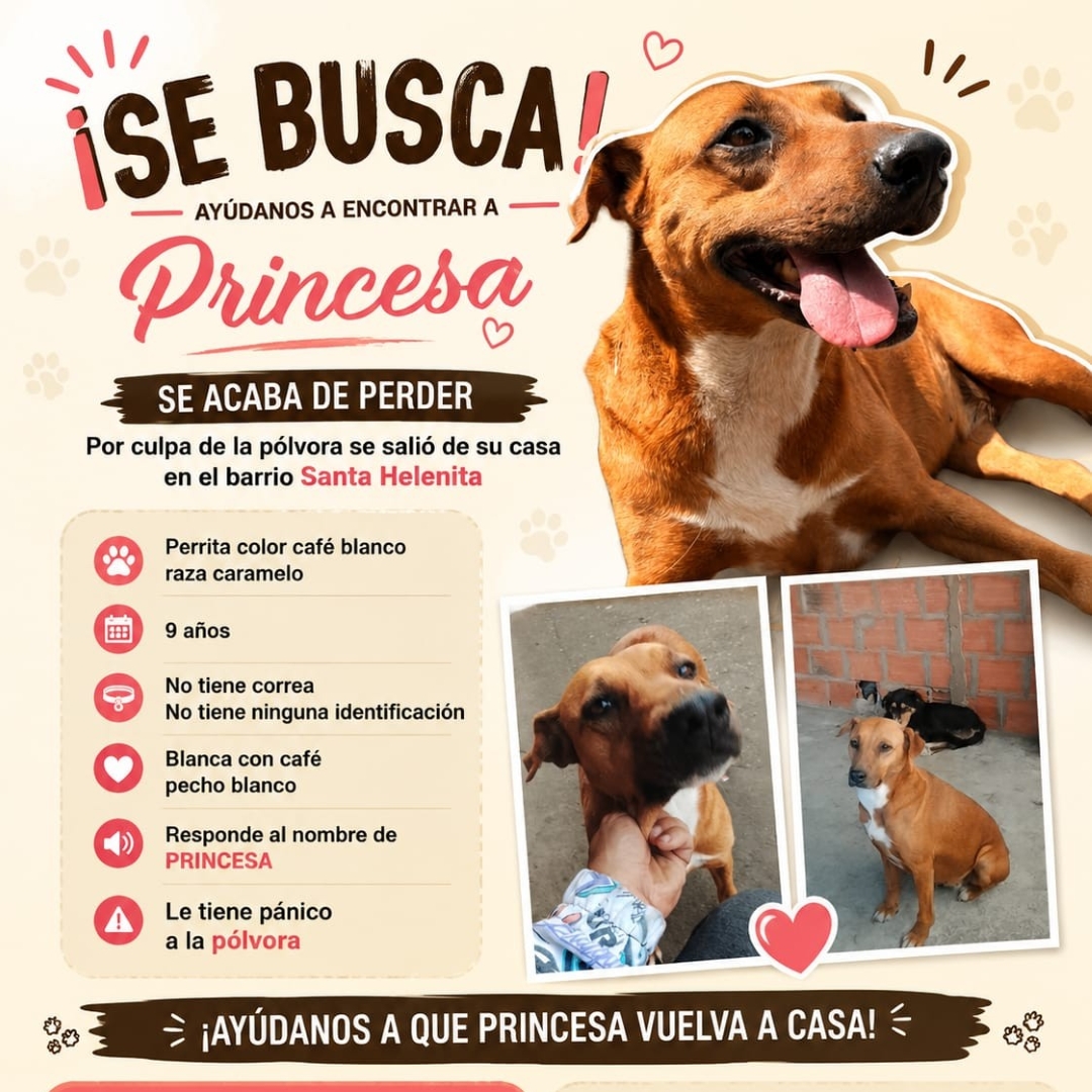 Princesa