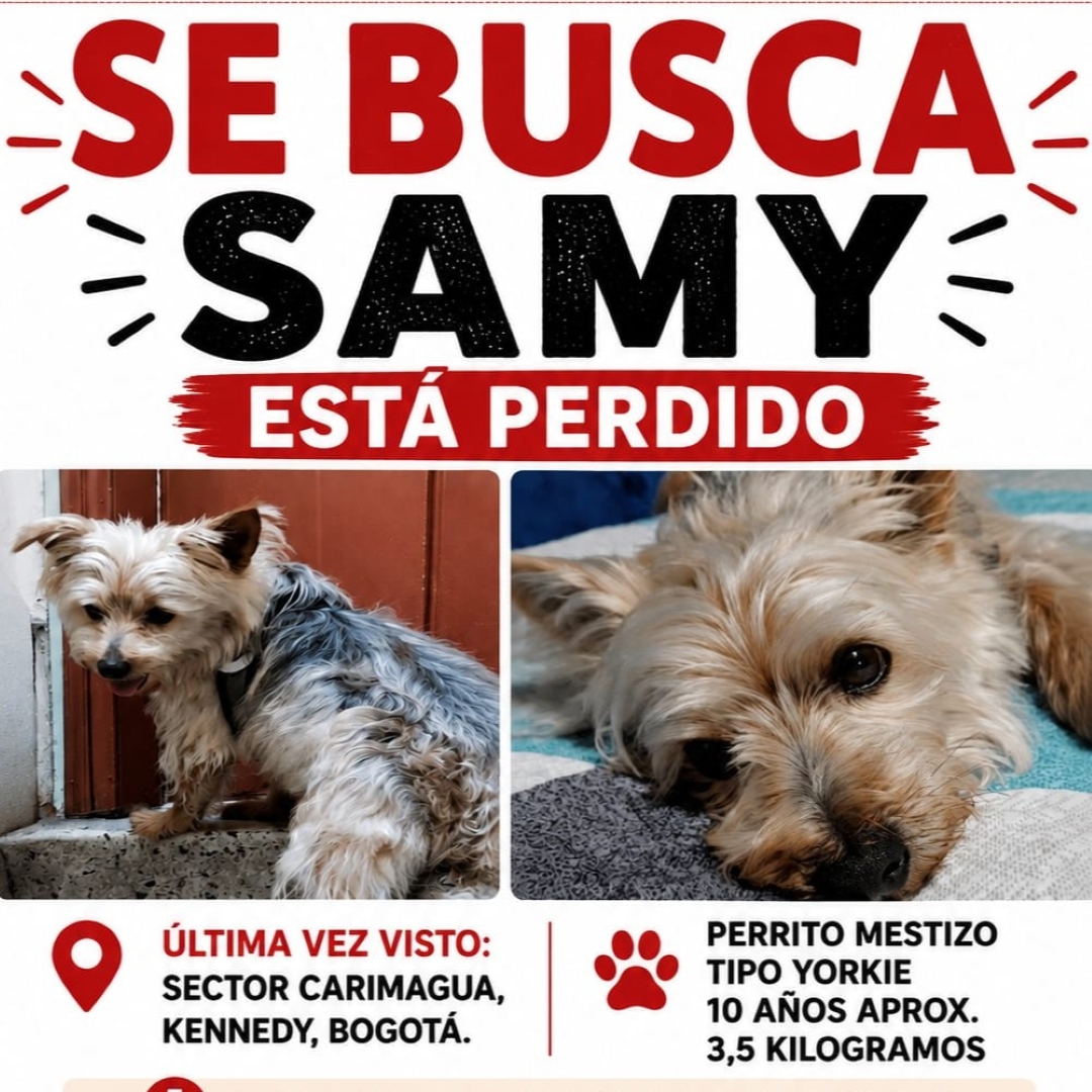 Samy