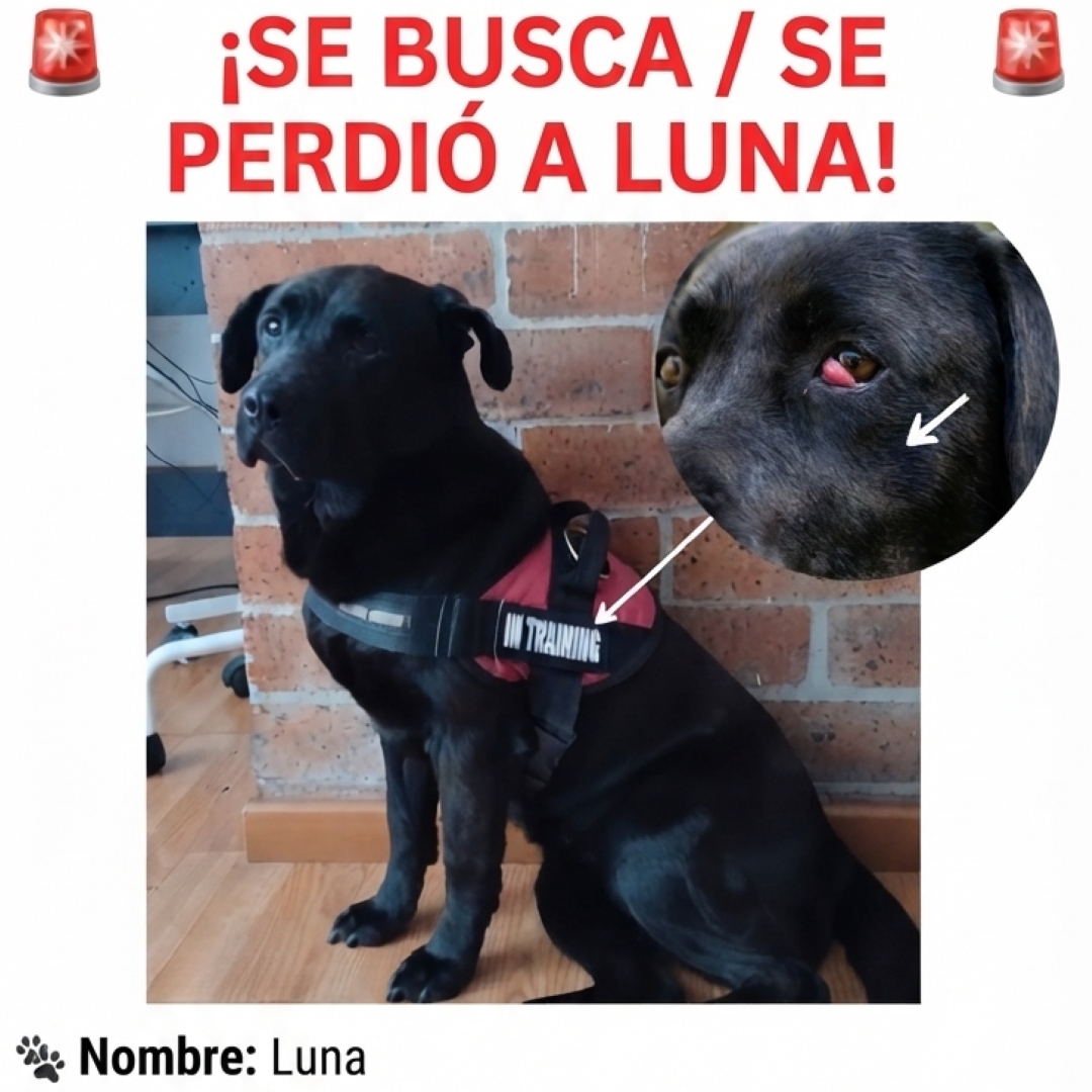 Luna