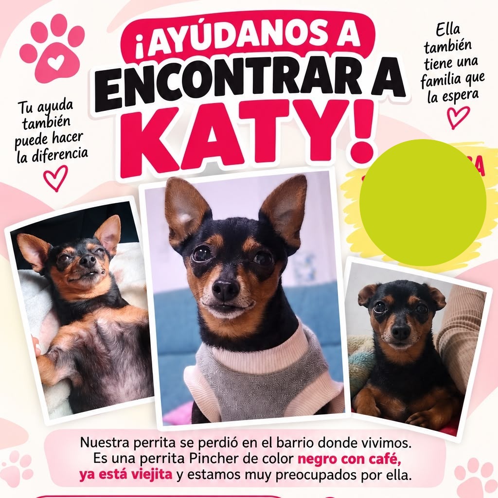 Katy