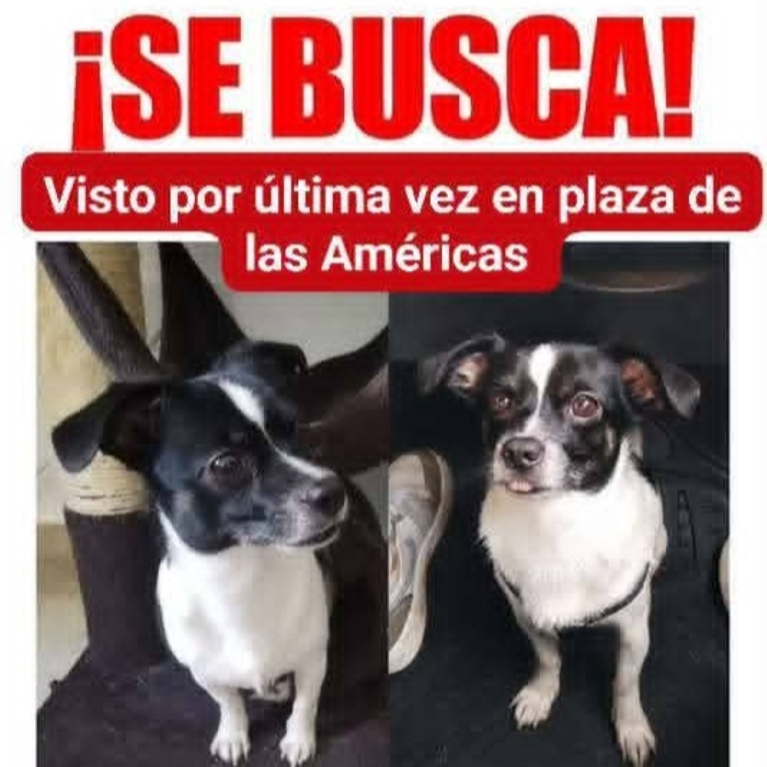 Manchas