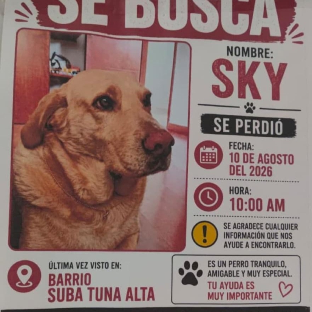 Sky