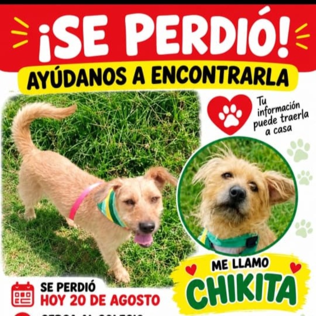 Chikita