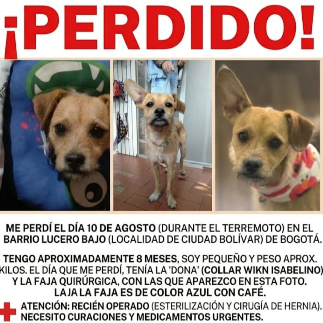 Chispi