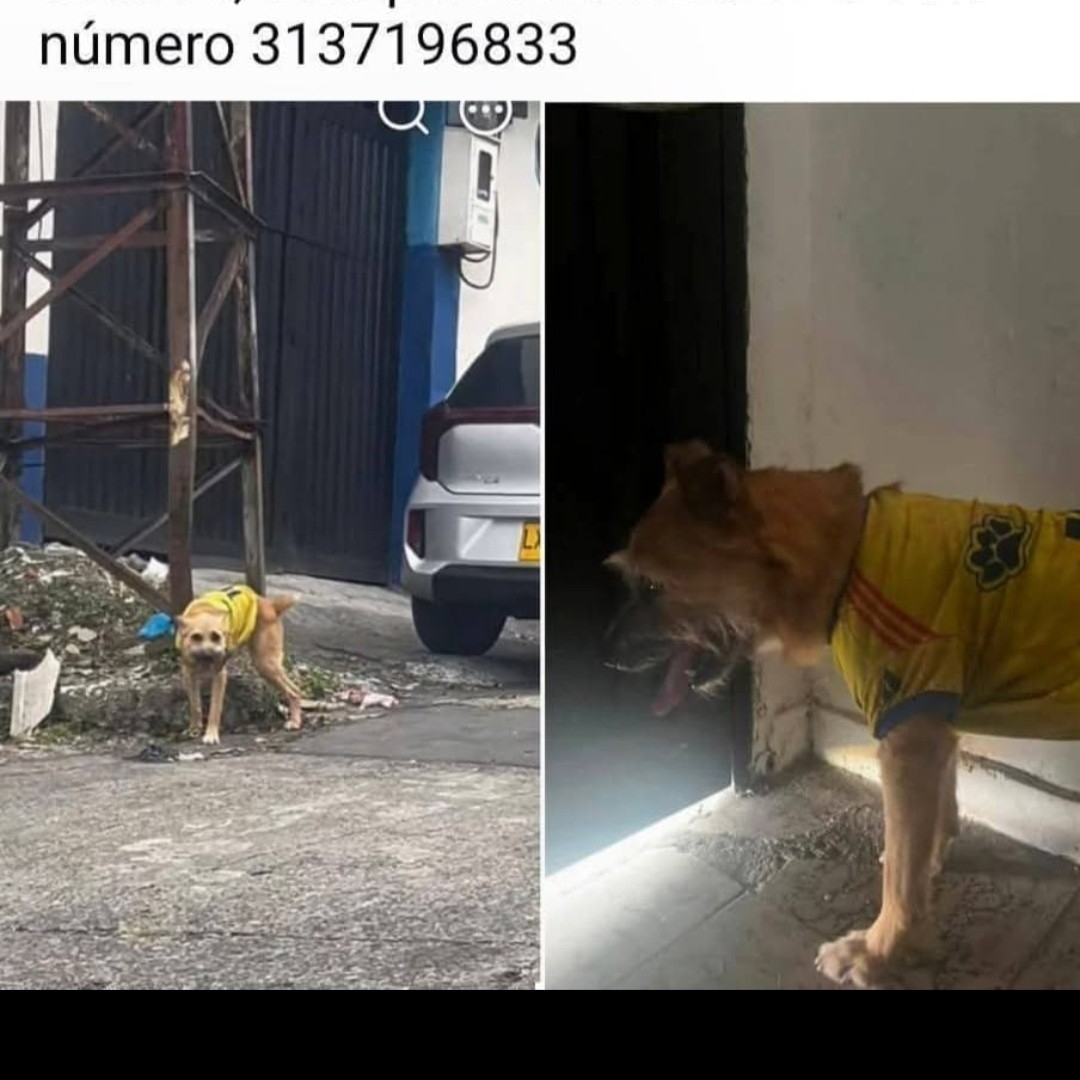 N.N.