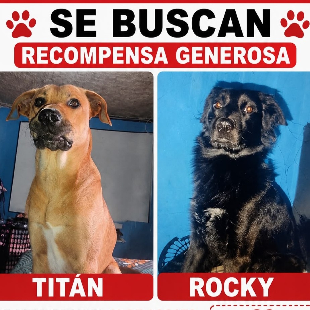 Titán y Rocky