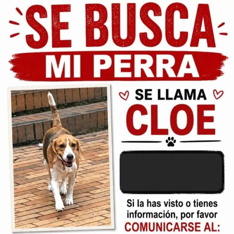Cloe
