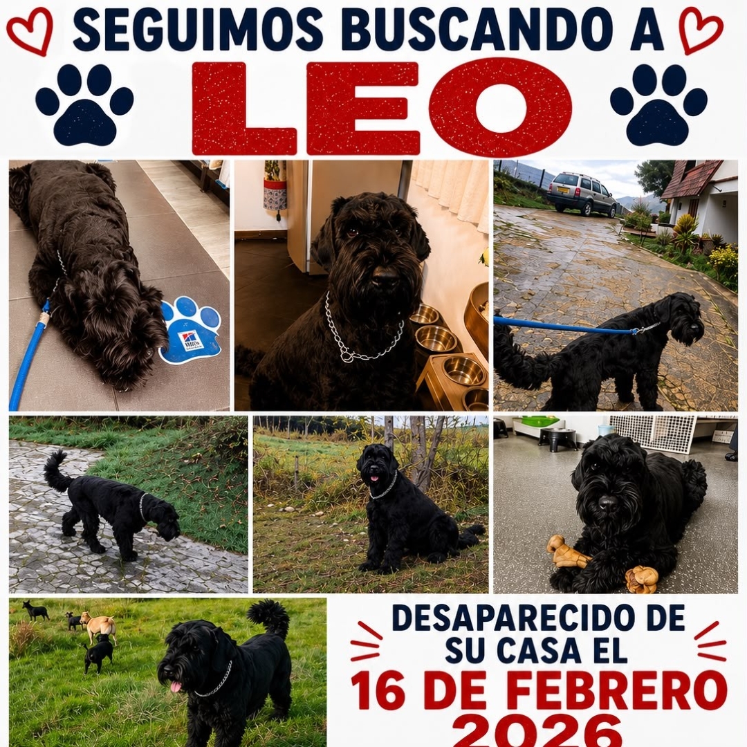 Leo