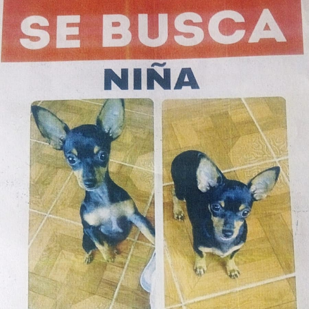 Niña