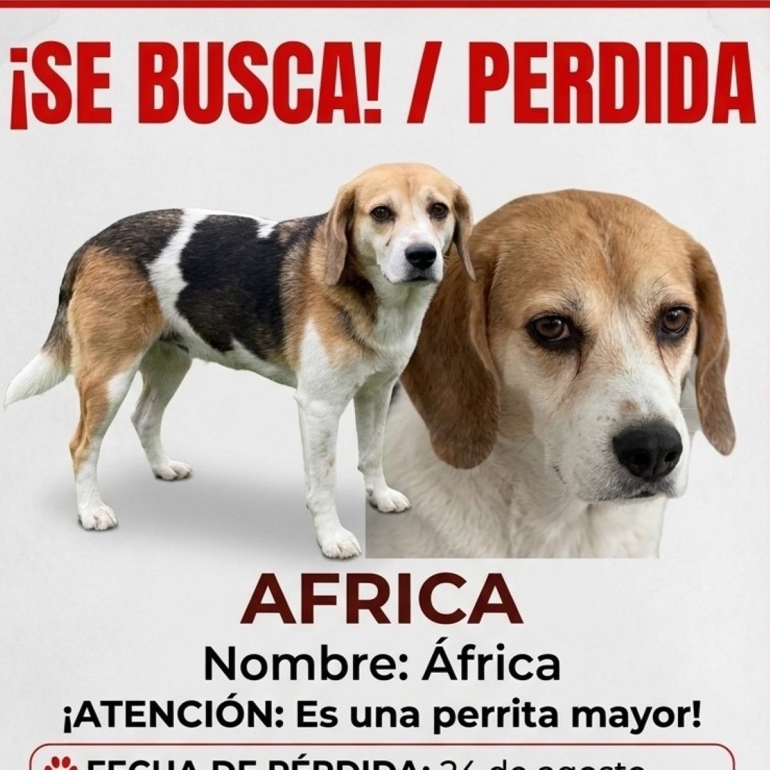 África