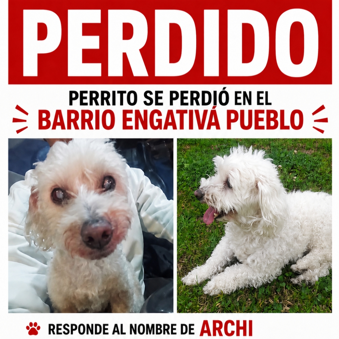 Archi