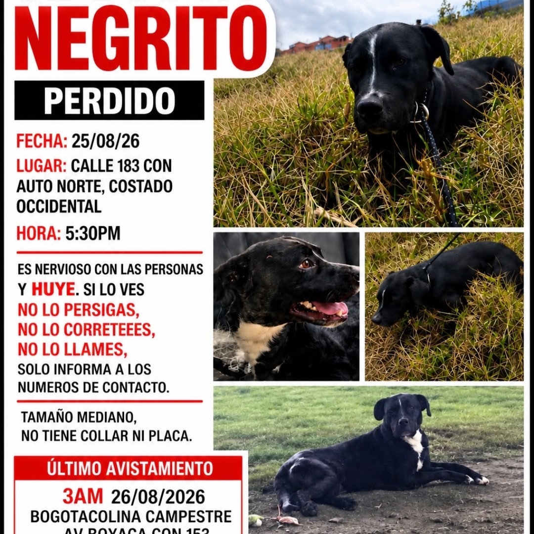 Negrito