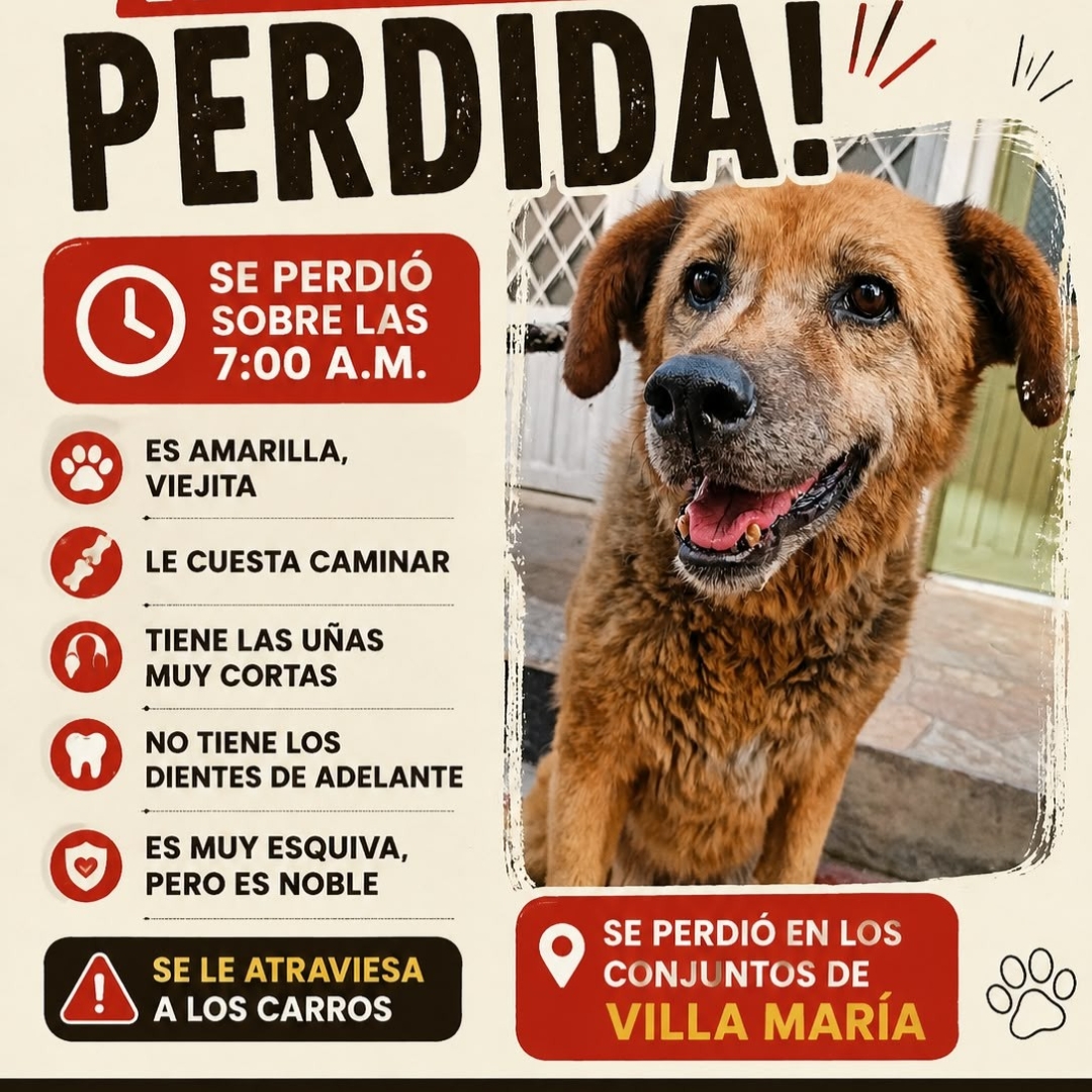 Perrita