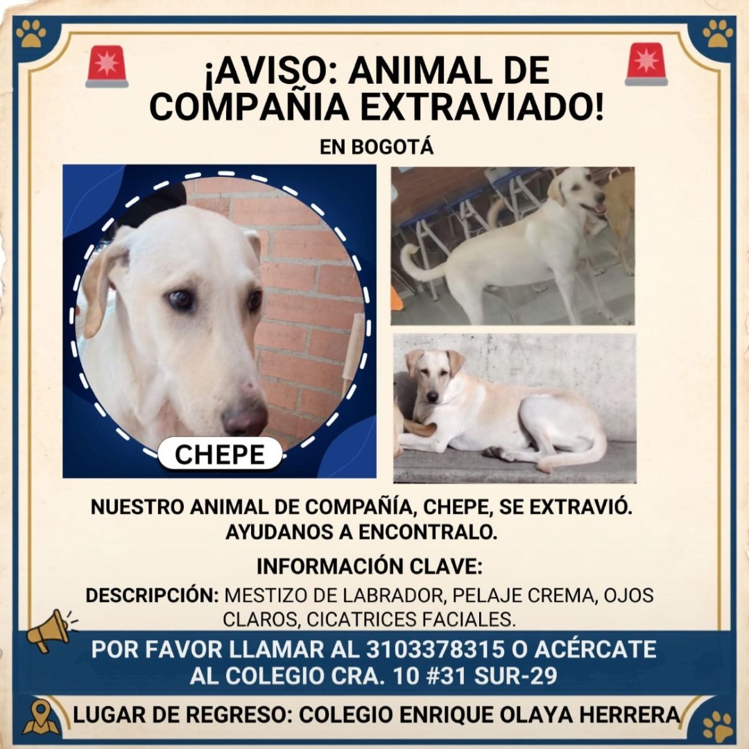 Perro Chepe