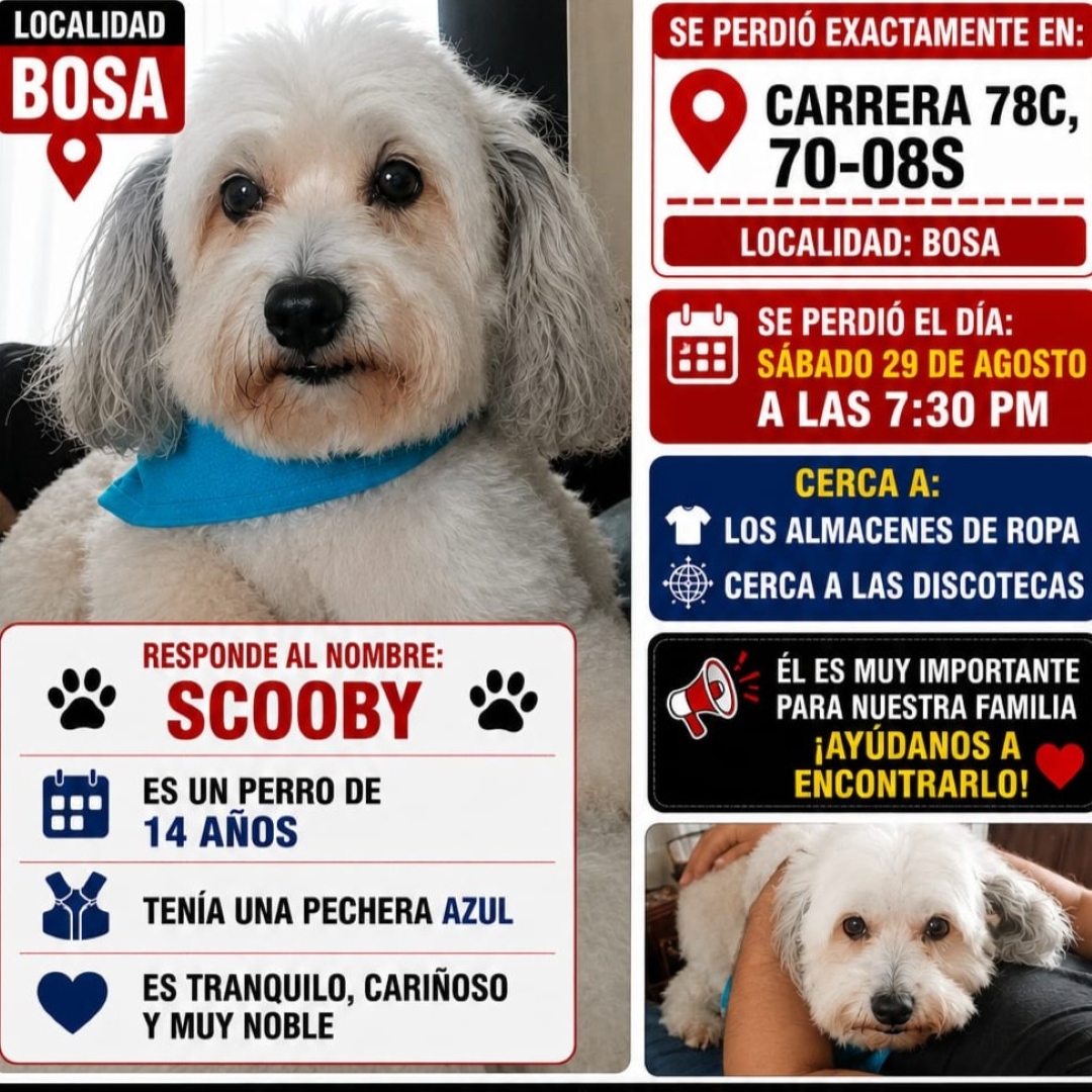 Perro Scooby